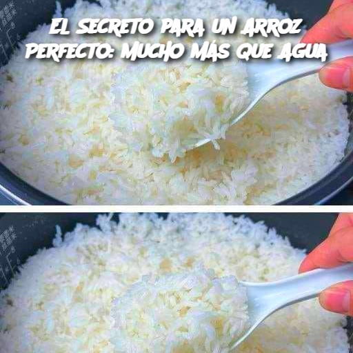 El Secreto para un Arroz Perfecto: Mucho Más que Agua