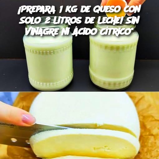 ¡Prepara 1 kg de queso con Solo 2 Litros de Leche! Sin Vinagre ni Ácido Cítrico"