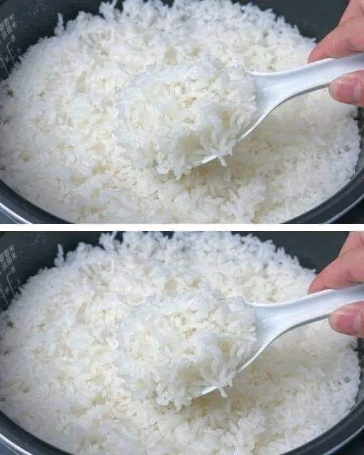 El Secreto para un Arroz Perfecto: No Solo Agua, Descubre Qué Agregar