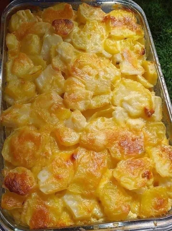 "Patatas Gratinadas: El Acompañamiento Perfecto para Tus Comidas"